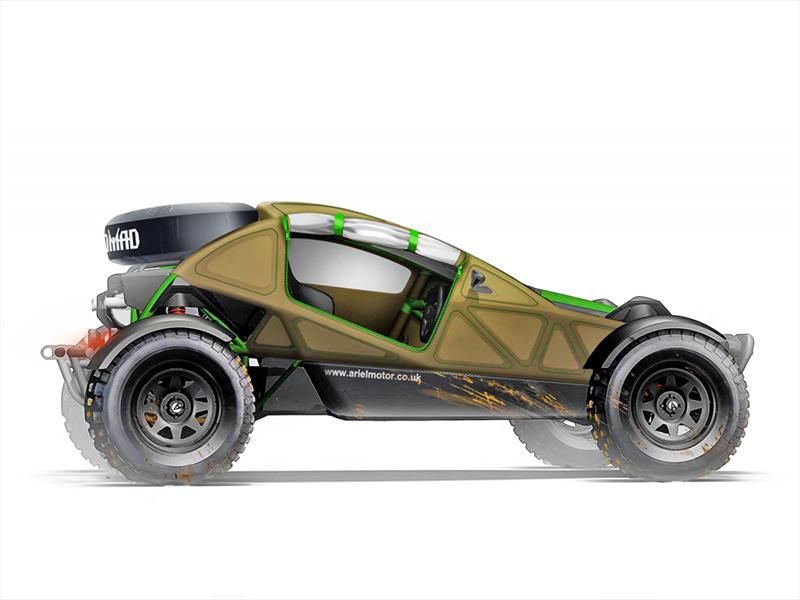 Ariel Nomad