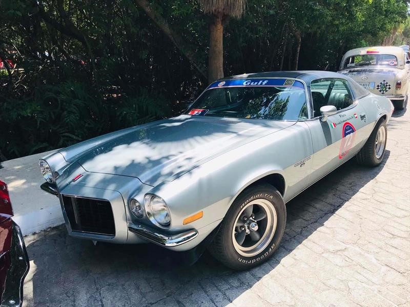 Rally Maya 2019