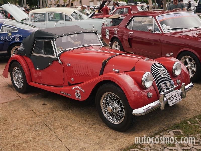 Rally Maya 2018