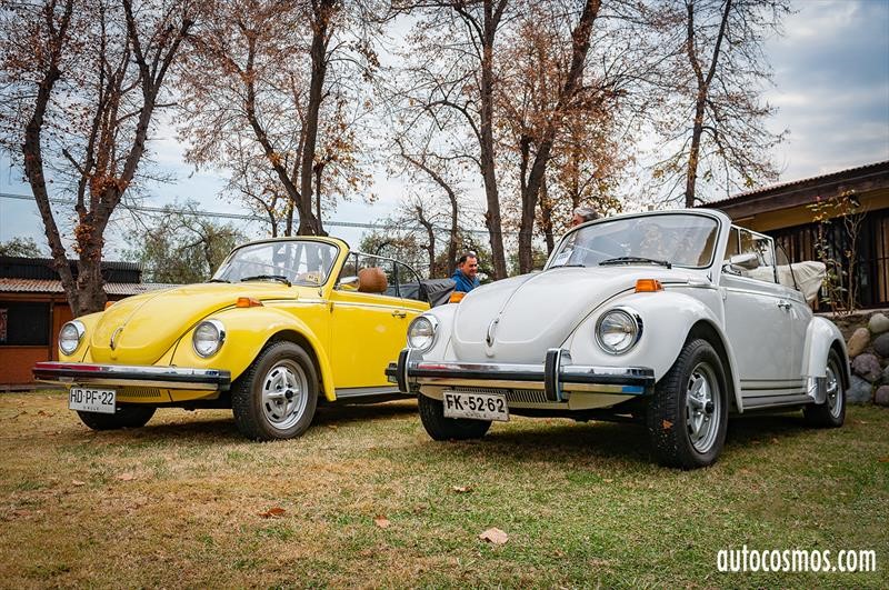 Dia del Escarabajo 2018