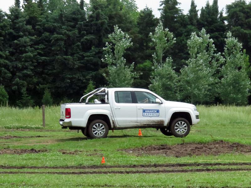 Ser un Experto Amarok