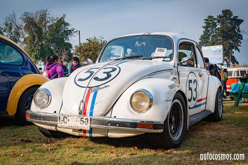 Dia del Escarabajo 2018