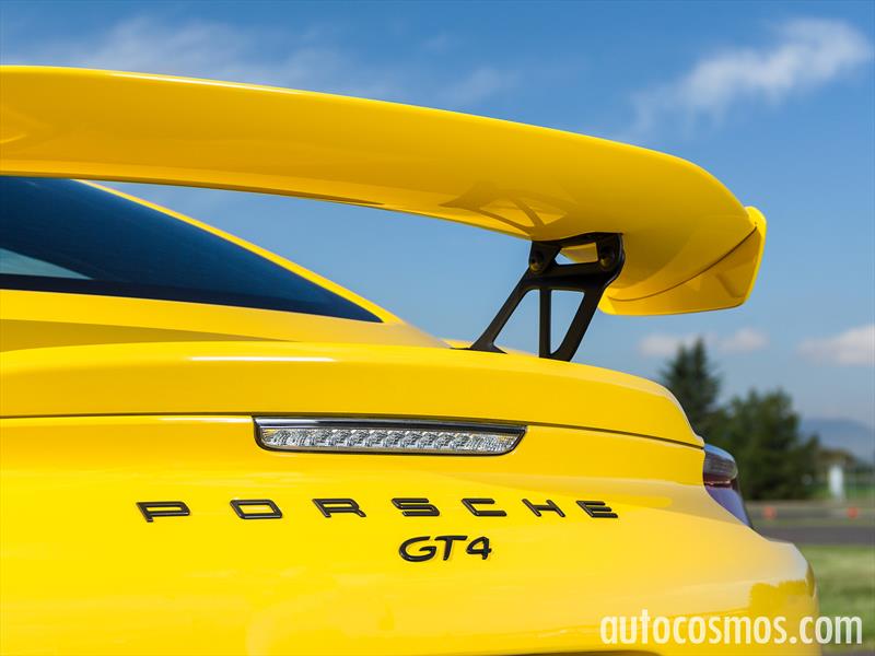 Porsche Cayman GT4 2015