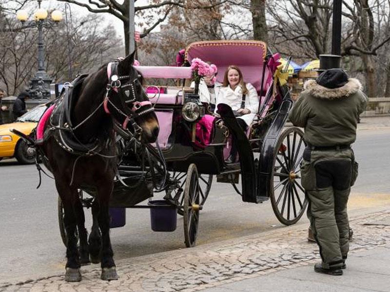 Paseos en carruaje