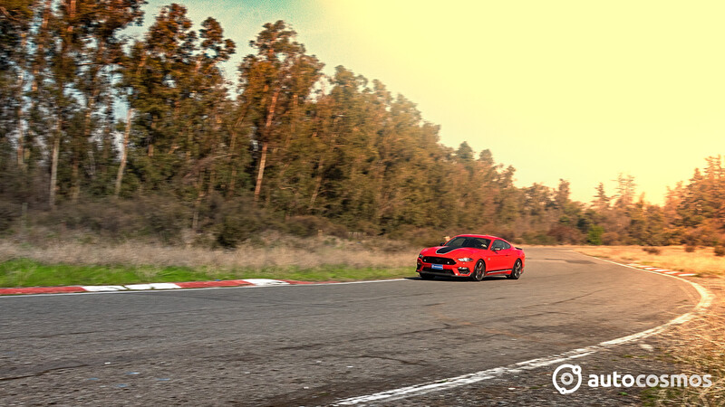 Ford Mustang Mach 1 - test drive