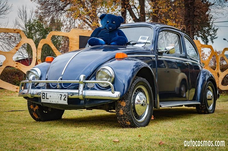 Dia del Escarabajo 2018