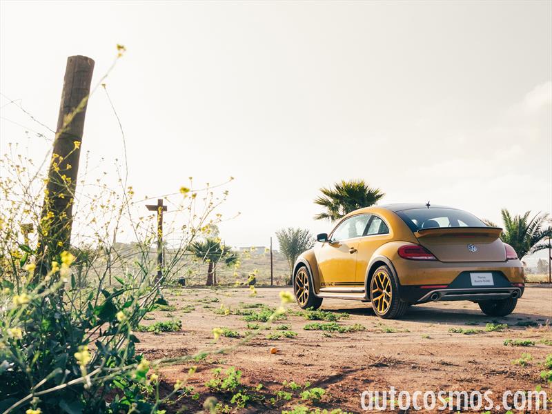 Manejando El Volkswagen Beetle Dune 2018