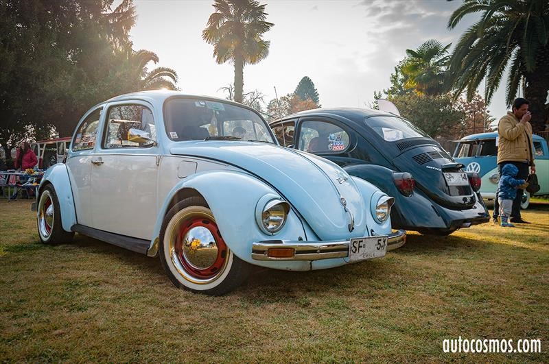 Dia del Escarabajo 2018