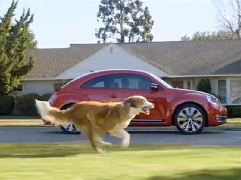 Top 10: Volkswagen Beetle -The Dog Strikes Back-