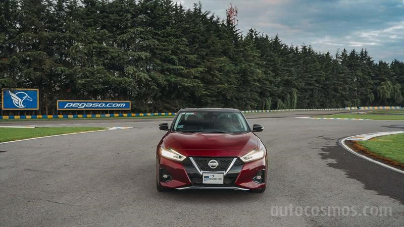Nissan Maxima 2019