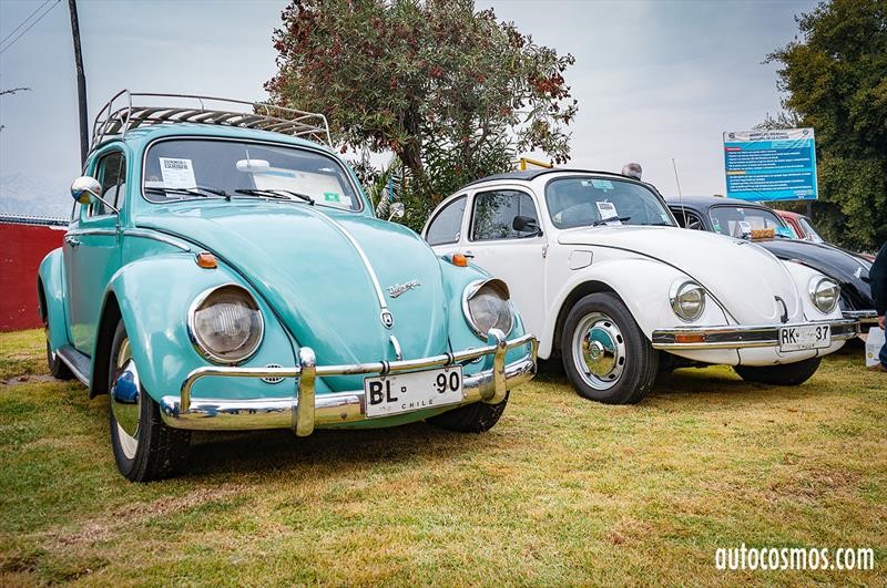 Dia del Escarabajo 2018