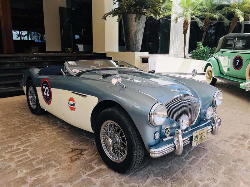 Rally Maya 2019