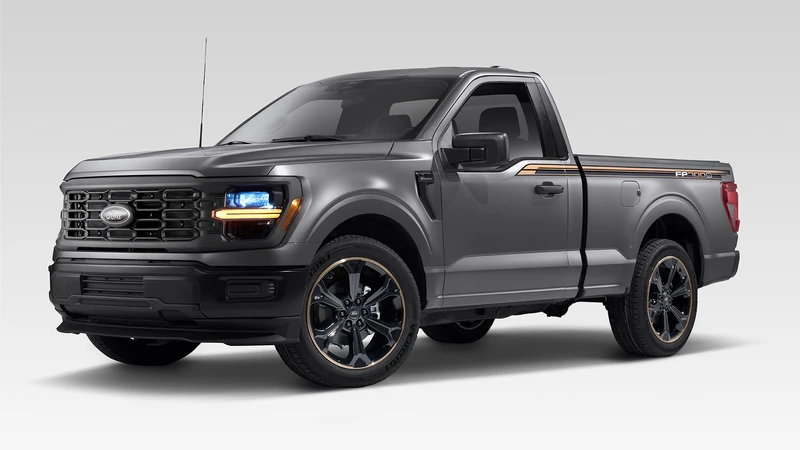 Ford F-150 Lightning: Ford Custom Garage Program