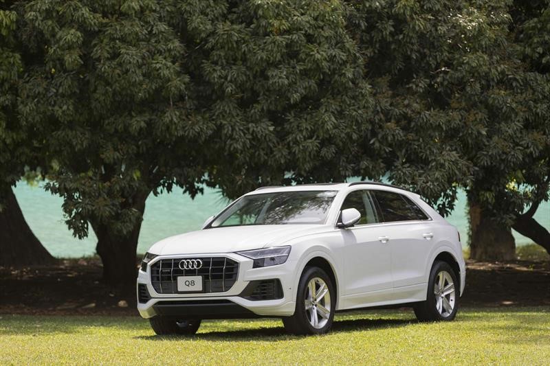Audi Q8 2019
