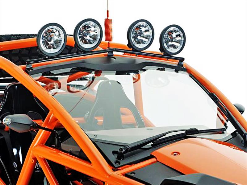 Ariel Nomad