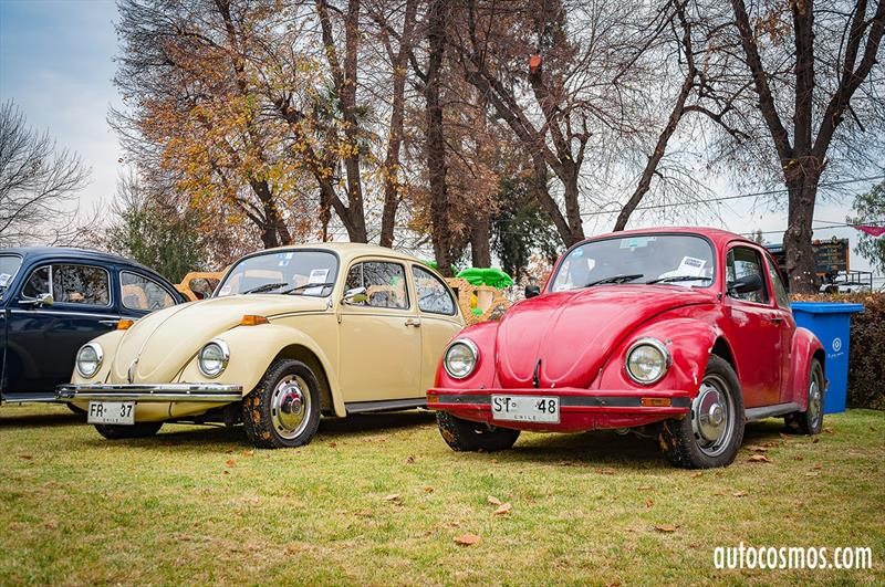 Dia del Escarabajo 2018