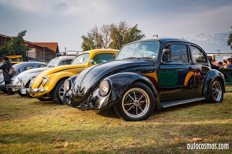 Dia del Escarabajo 2018