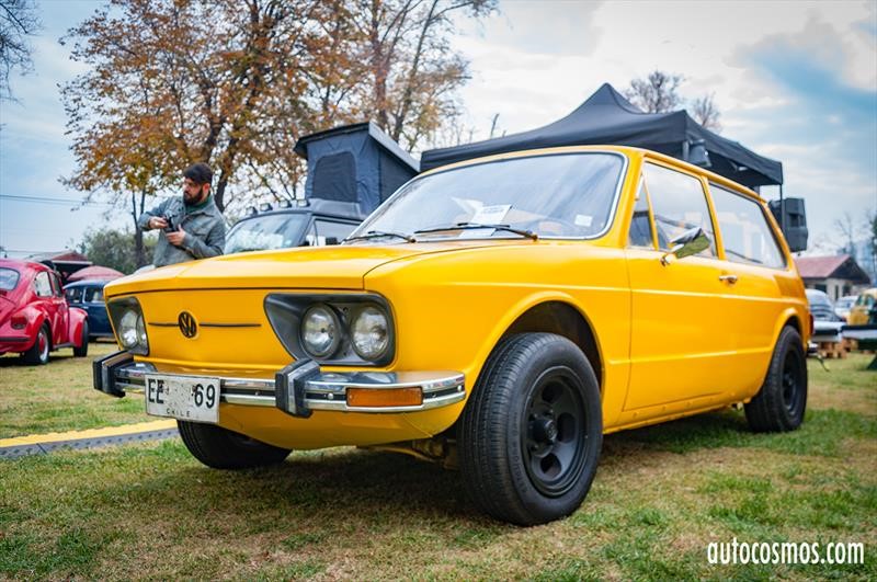 Dia del Escarabajo 2018