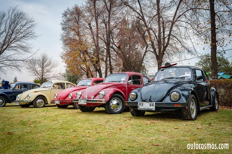 Dia del Escarabajo 2018