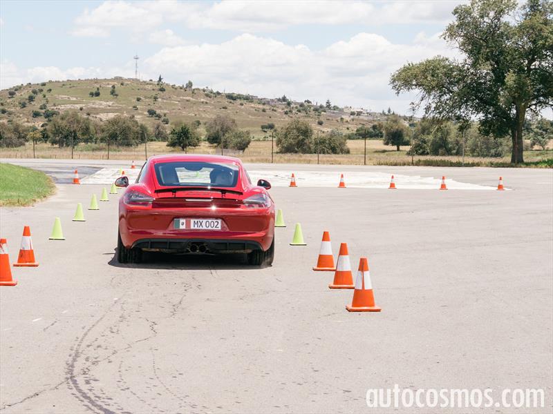 Porsche Cayman GTS 2015