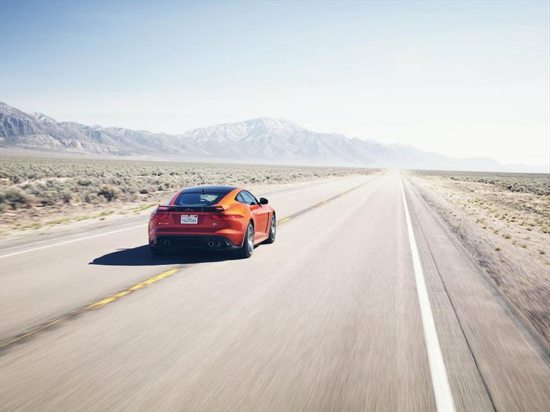 Michelle Rodríguez y Jaguar