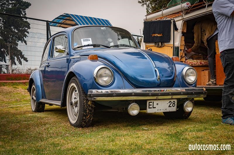 Dia del Escarabajo 2018