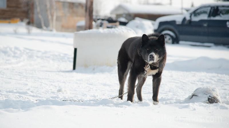 Manejando en caminos de hielo