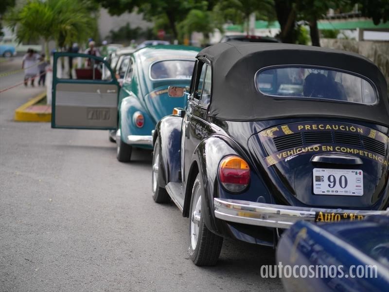 Rally Maya 2018