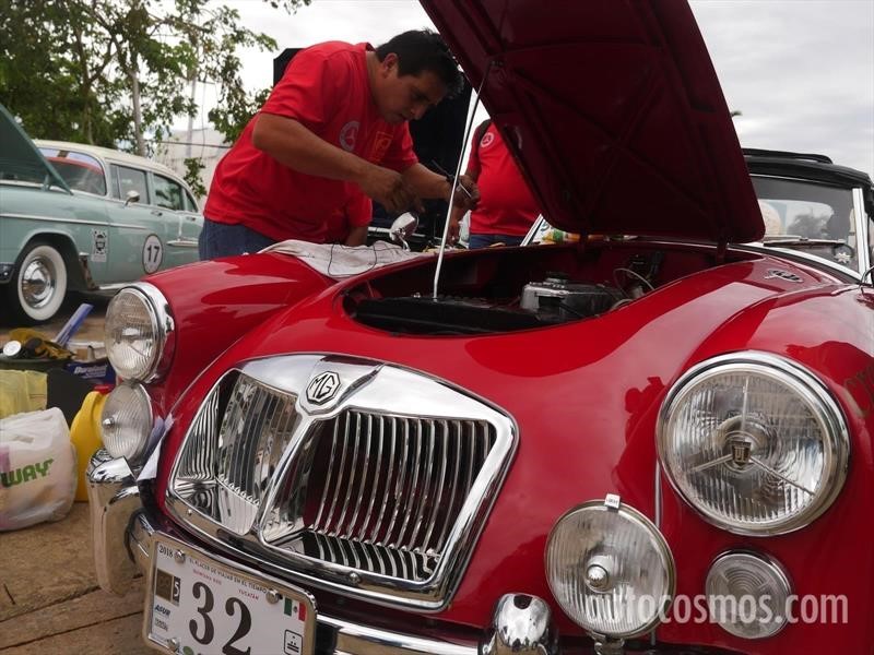 Rally Maya 2018