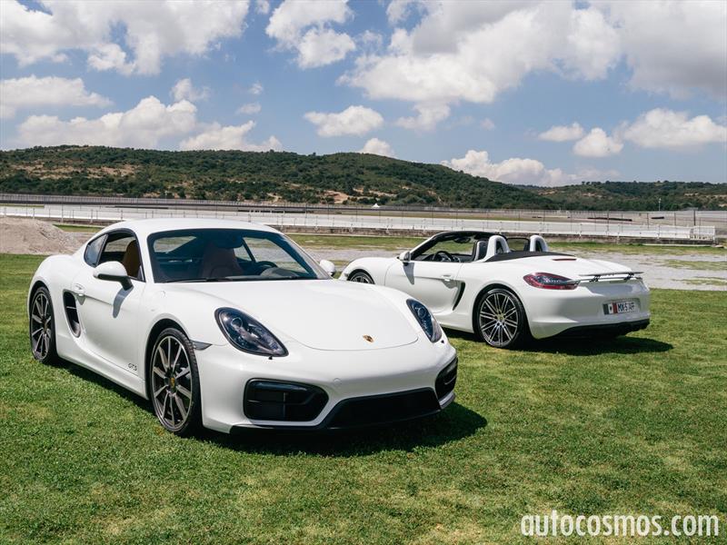 Porsche Cayman GTS 2015