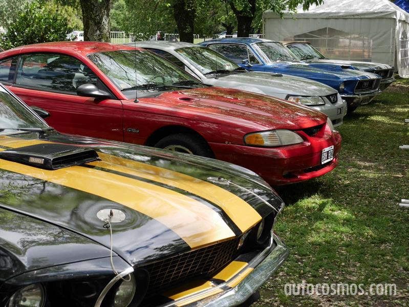 Autoclásica 2014: Estados Unidos