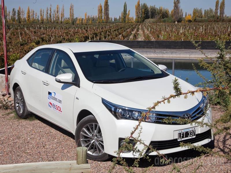 Prueba al Toyota Corolla en Mendoza