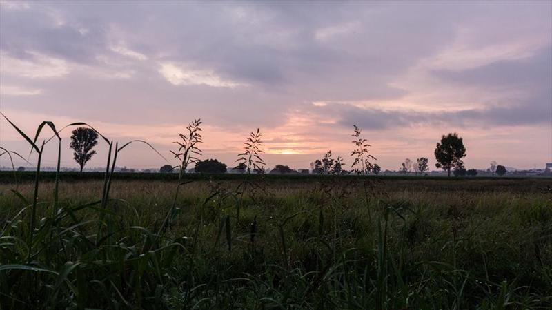 Ruta a Pikes Peak 213: Día 1