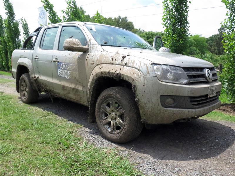 Ser un Experto Amarok