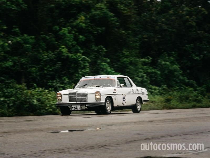 Rally Maya 2018