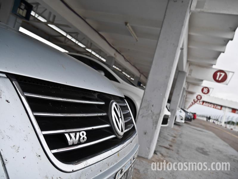Passat W8