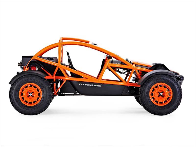 Ariel Nomad