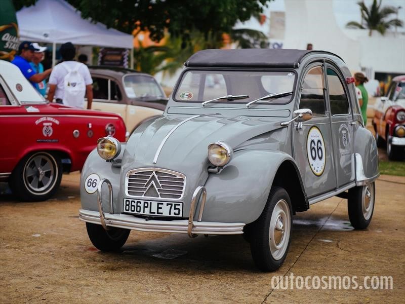Rally Maya 2018
