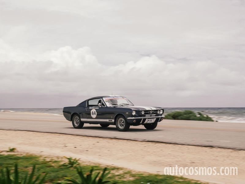Rally Maya 2018
