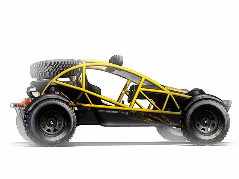 Ariel Nomad