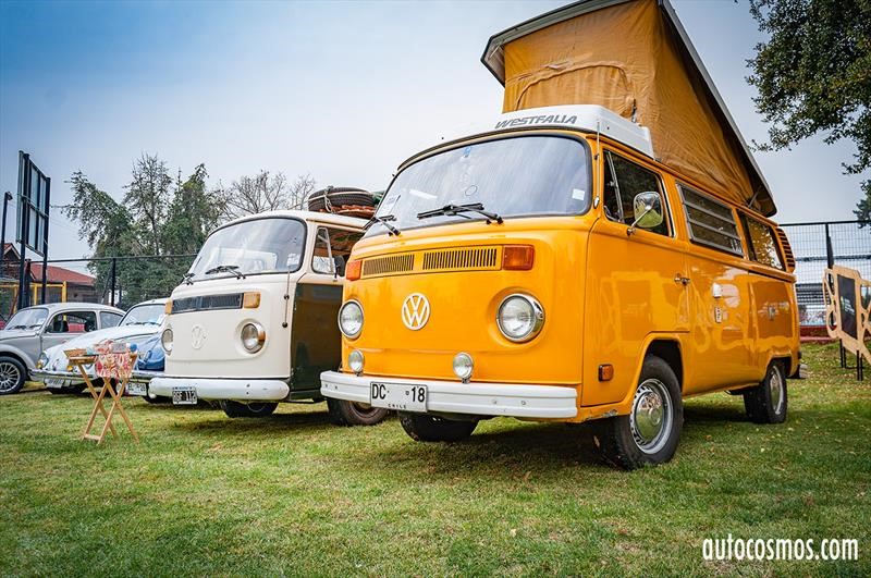 Dia del Escarabajo 2018