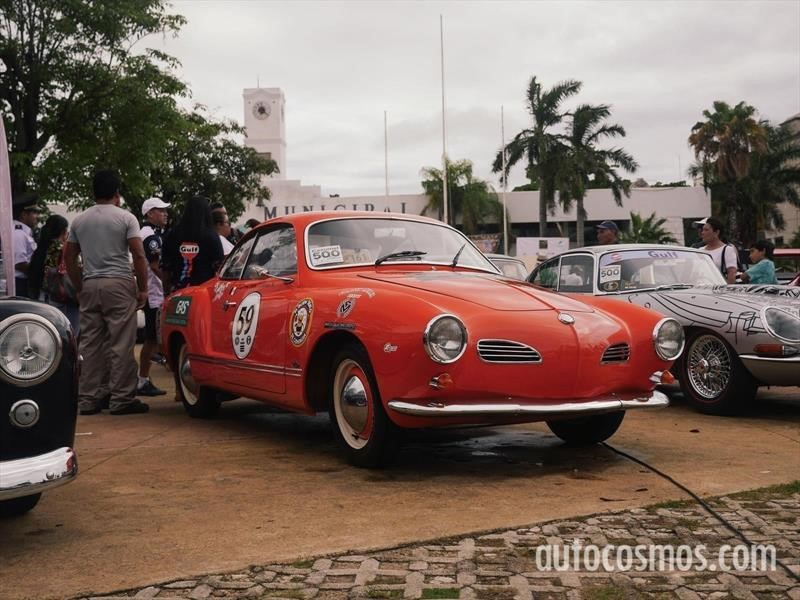 Rally Maya 2018