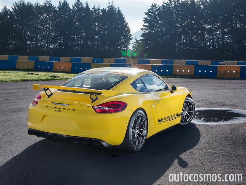 Porsche Cayman GT4 2015