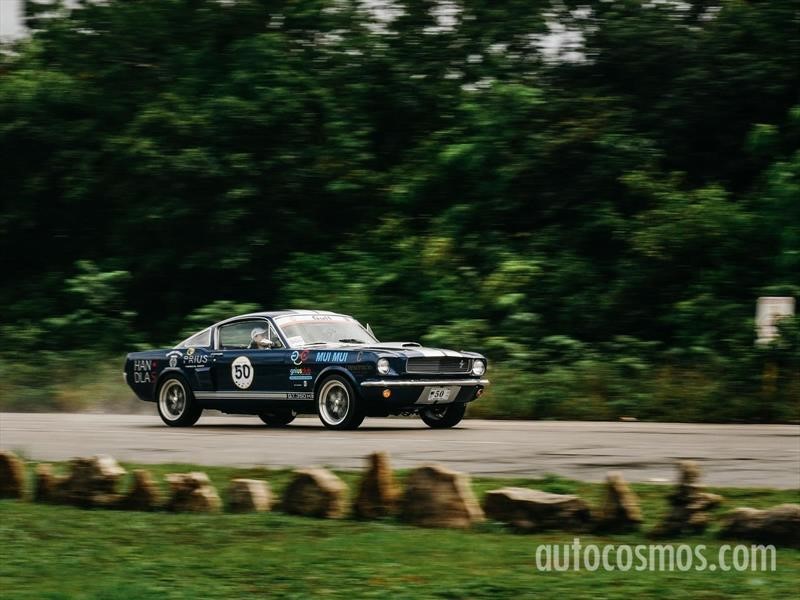 Rally Maya 2018