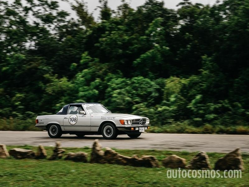Rally Maya 2018