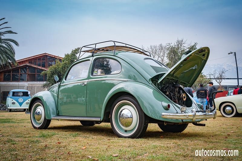 Dia del Escarabajo 2018