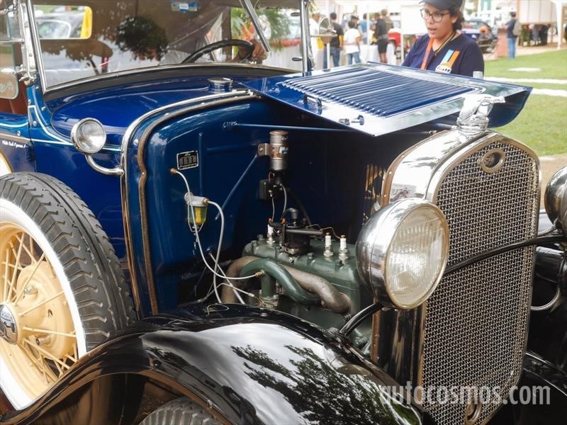 Rally Maya 2018
