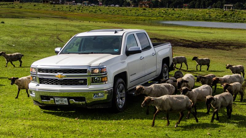 Chevrolet Cheyenne 2014