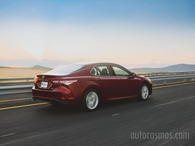 Toyota Camry Híbrido 2019