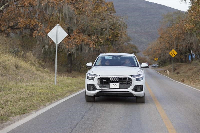 Audi Q8 2019